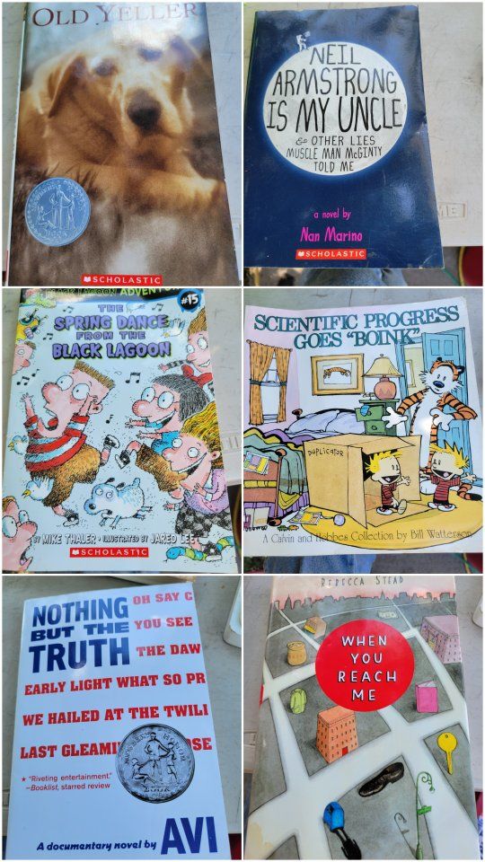 Lot of 70+ Children's Books: Diary of a Wimpy Kid, Boxcar Children, Captain Underpants, National Geographic, see pics for titles