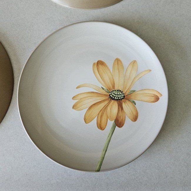 Set of 4 - 8" Noritake Colorwave plates