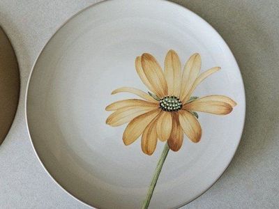 Set of 4 - 8" Noritake Colorwave plates