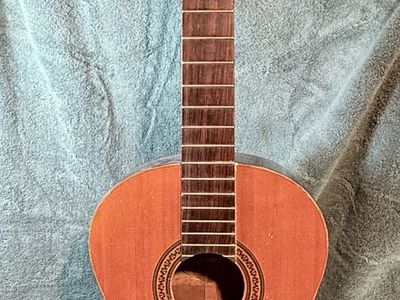 Classical Acoustic with Padded Bag