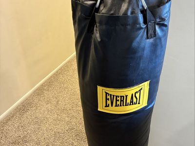 Everlast Black Heavy Duty Punching Bag - Used, Great Condition for Home Workouts
