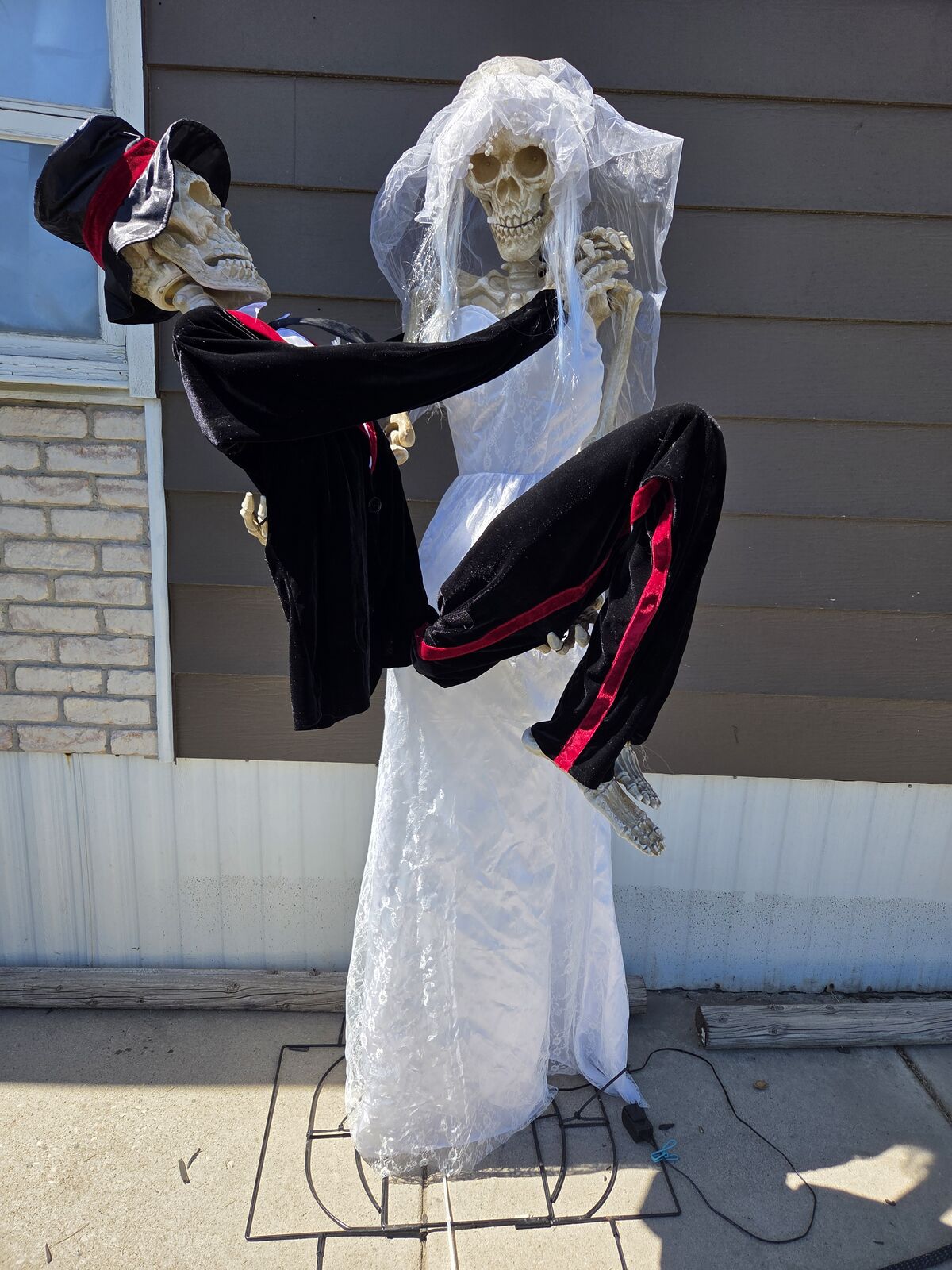 Skeletons Animated Newly Dead skull bride and groom halloween