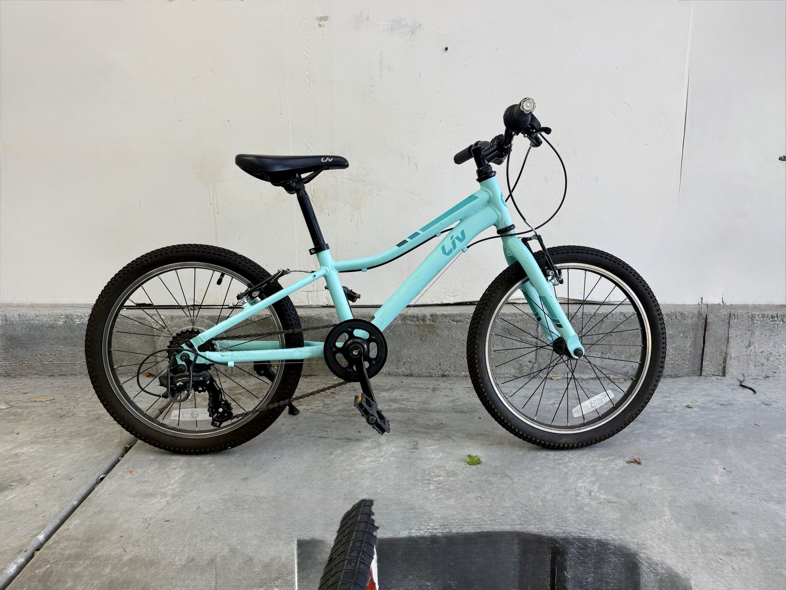 Liv Enchant Kids Bike, 20-inch Wheels, 7-Speed, Light Blue/Mint