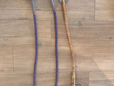 Phenom Lanyards With Petzl Am'D