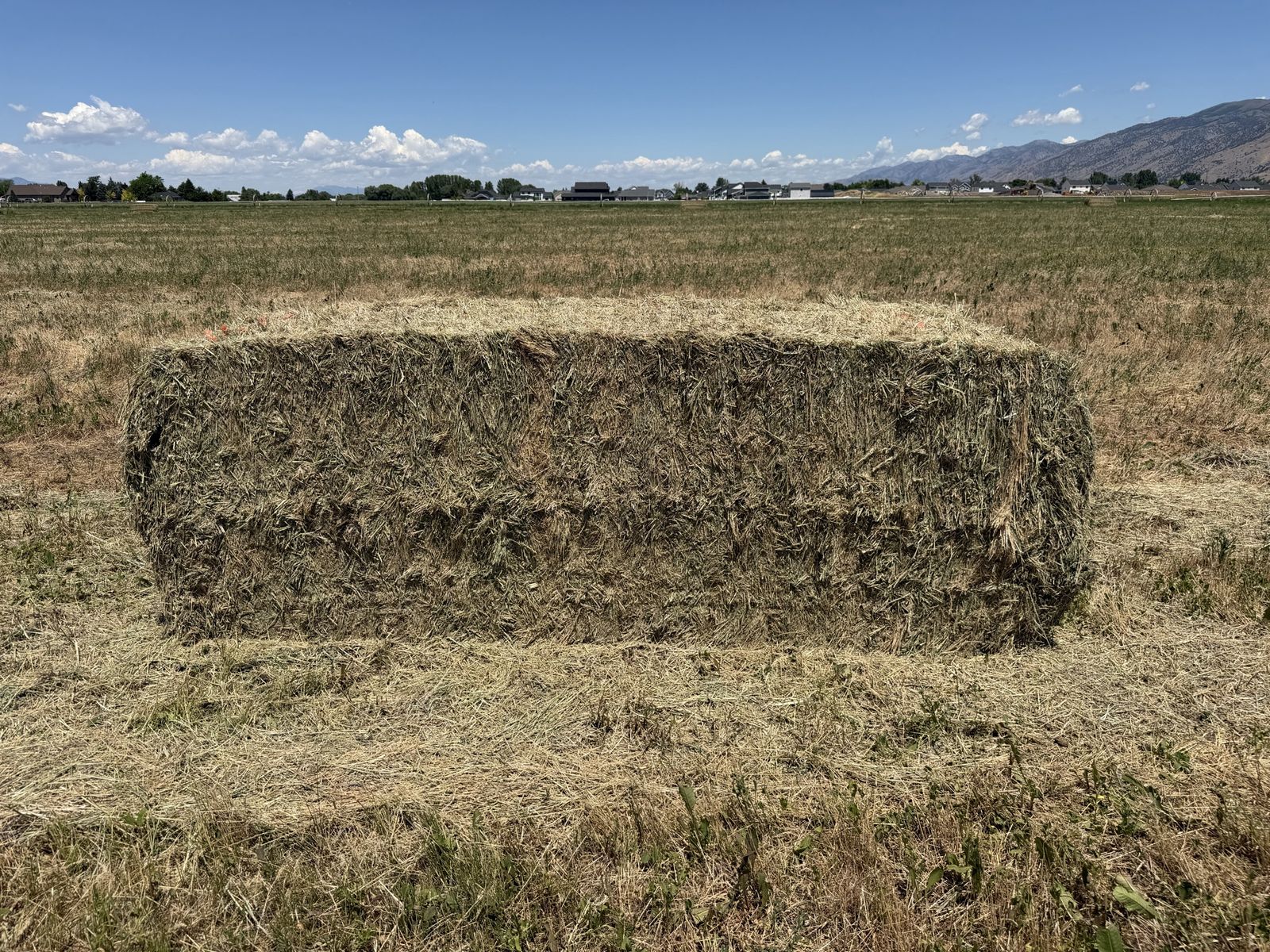 Feeder Hay 3x3 bales ~925lbs