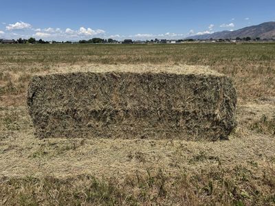 Feeder Hay 3x3 bales ~925lbs