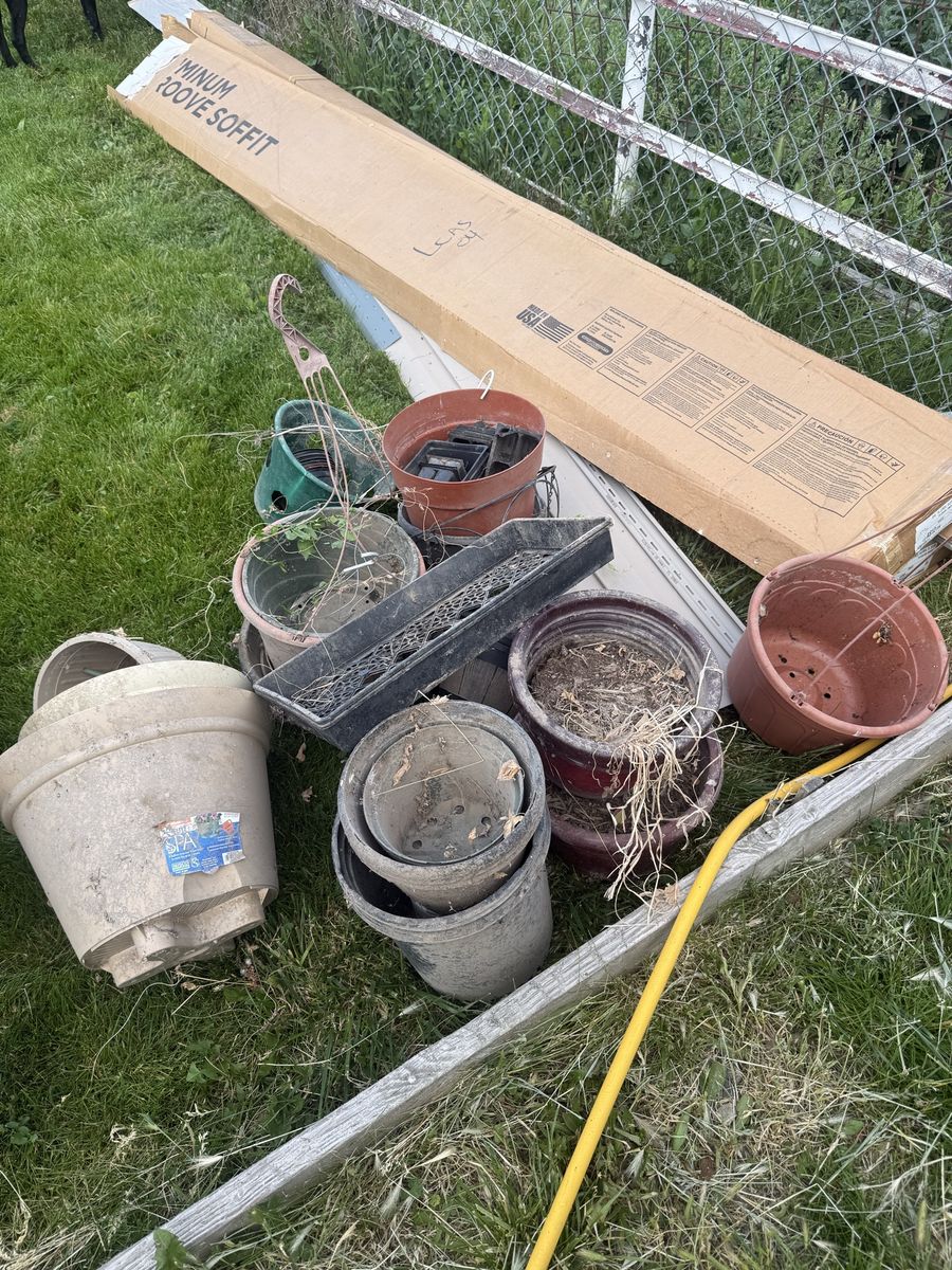 Main image 6