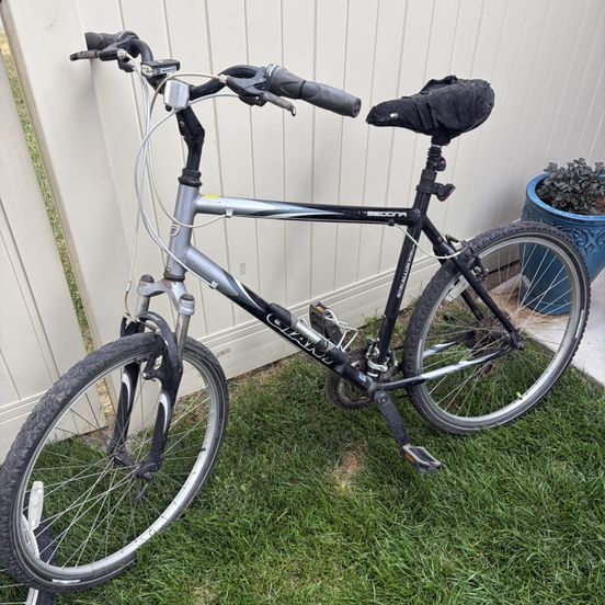 Giant Sedona Bike