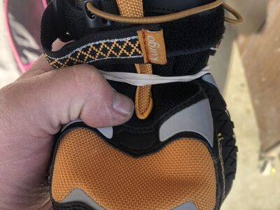 Dog Shoes