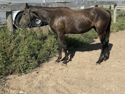 Gentle 2 year old