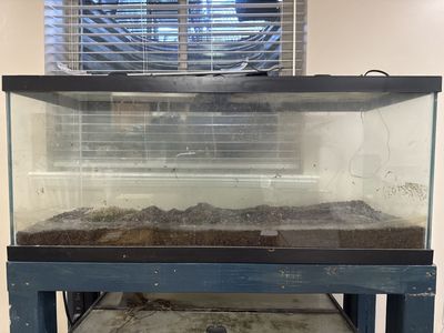 75 gallon aquarium with stand and substrate and glass lids.