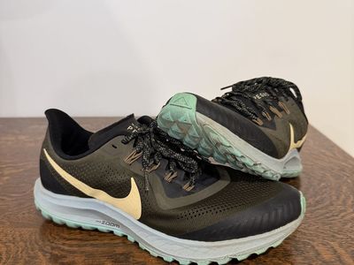 Nike Pegasus Trail Running Shoes (Men’s 8.5)