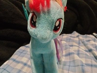 Rainbow Dash plush