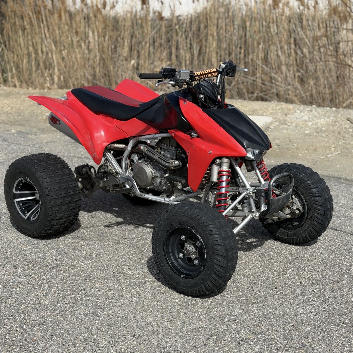 2006 Honda Trx450er 450