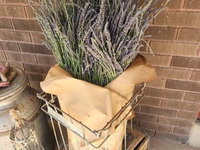 Organic Long stem lavender