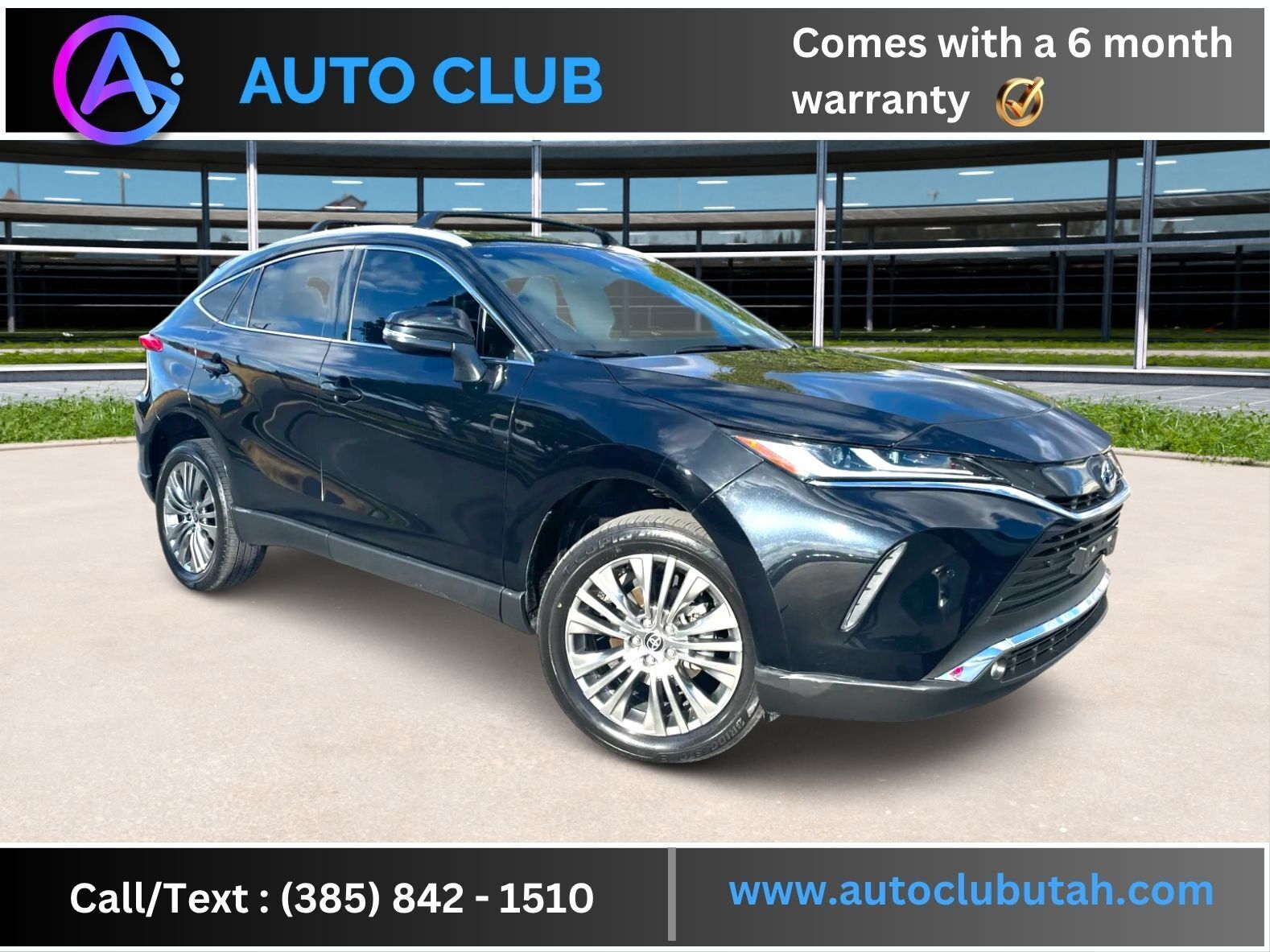 2024 Toyota Venza XLE