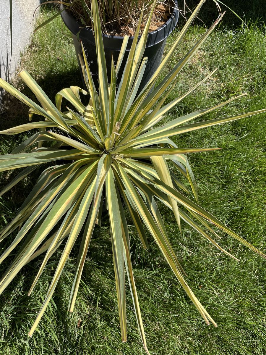 Main image 3