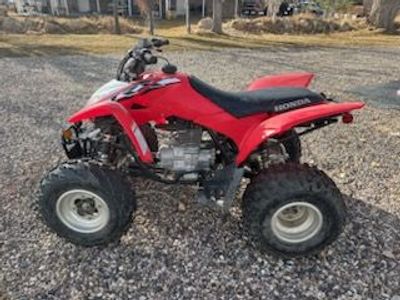 2019 Honda TRX250