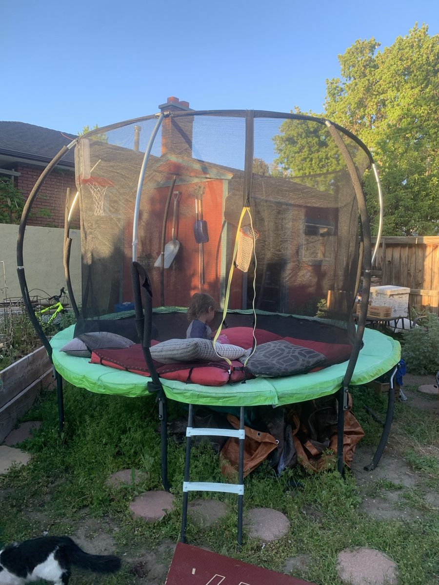 Trampoline