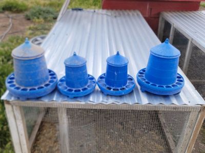 Blue Plastic Poultry Feeders - Chicken/Bird Feeders, Various Sizes