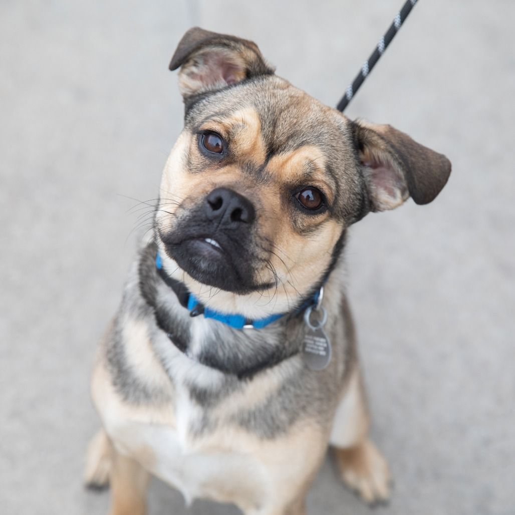 Hello my name is Izzy