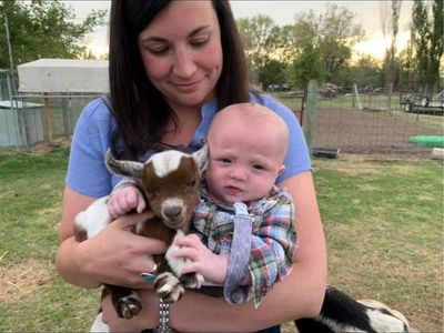 Baby Nigerian Dwarf Withers
