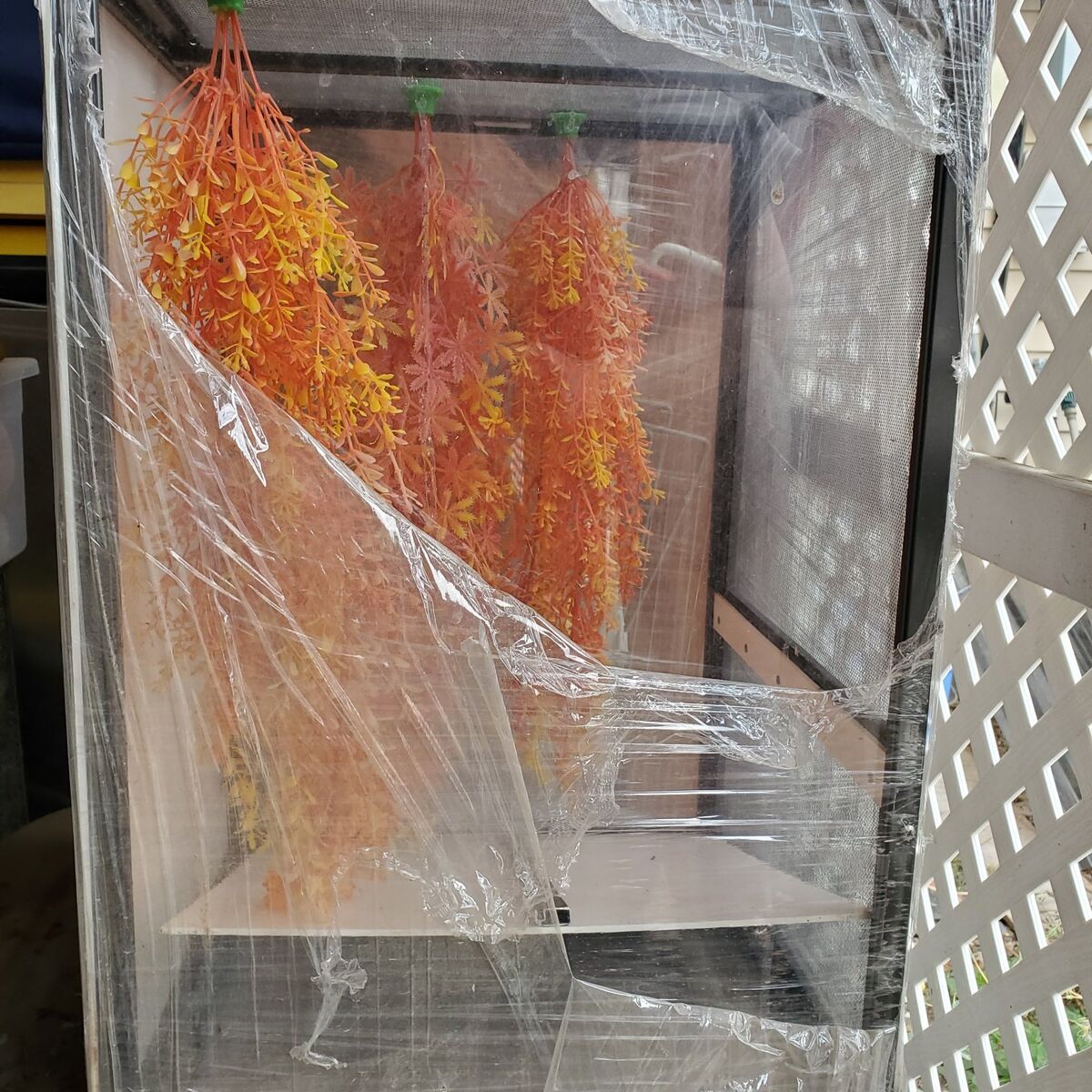 Tall Gecko Reptile Plexiglass Mesh Durable Cage