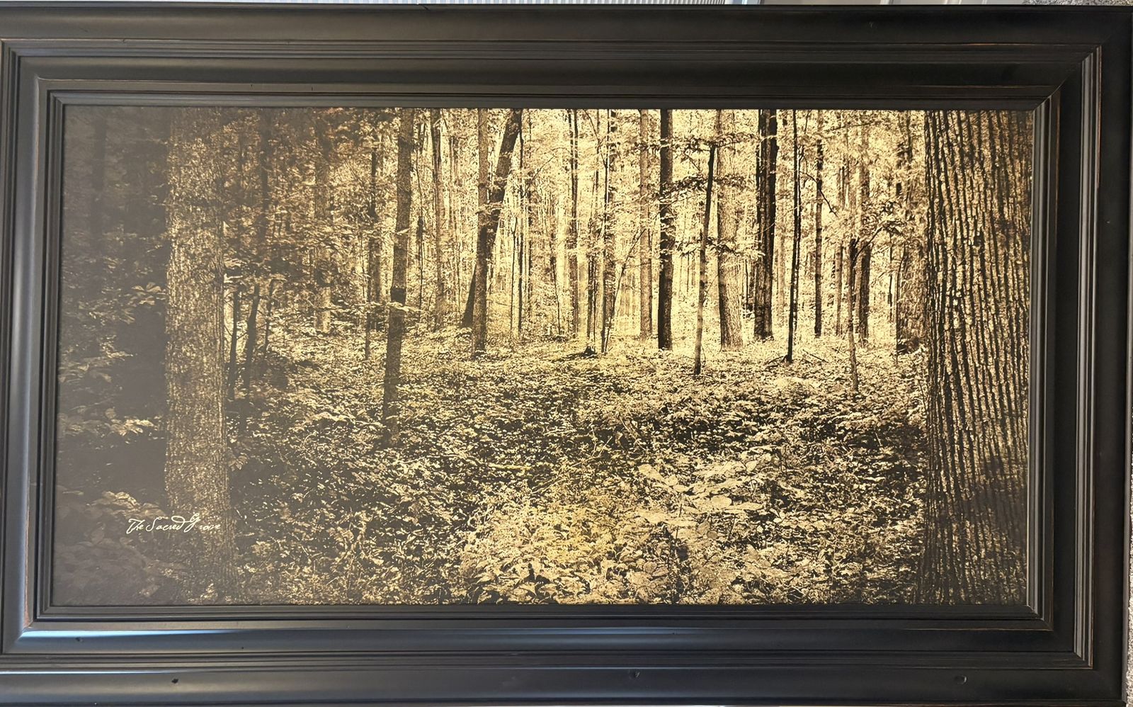 Sacred Grove Wall Photo