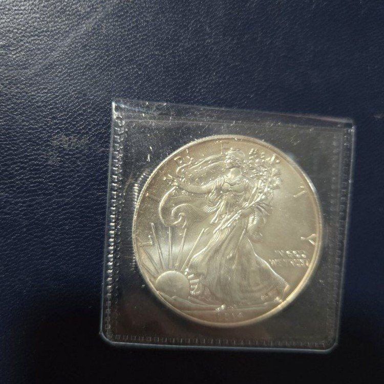 2014 Silver Eagle