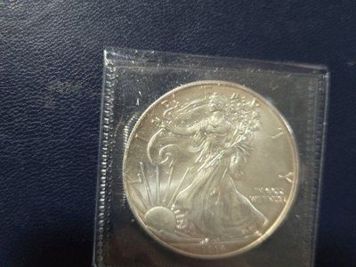 2014 Silver Eagle