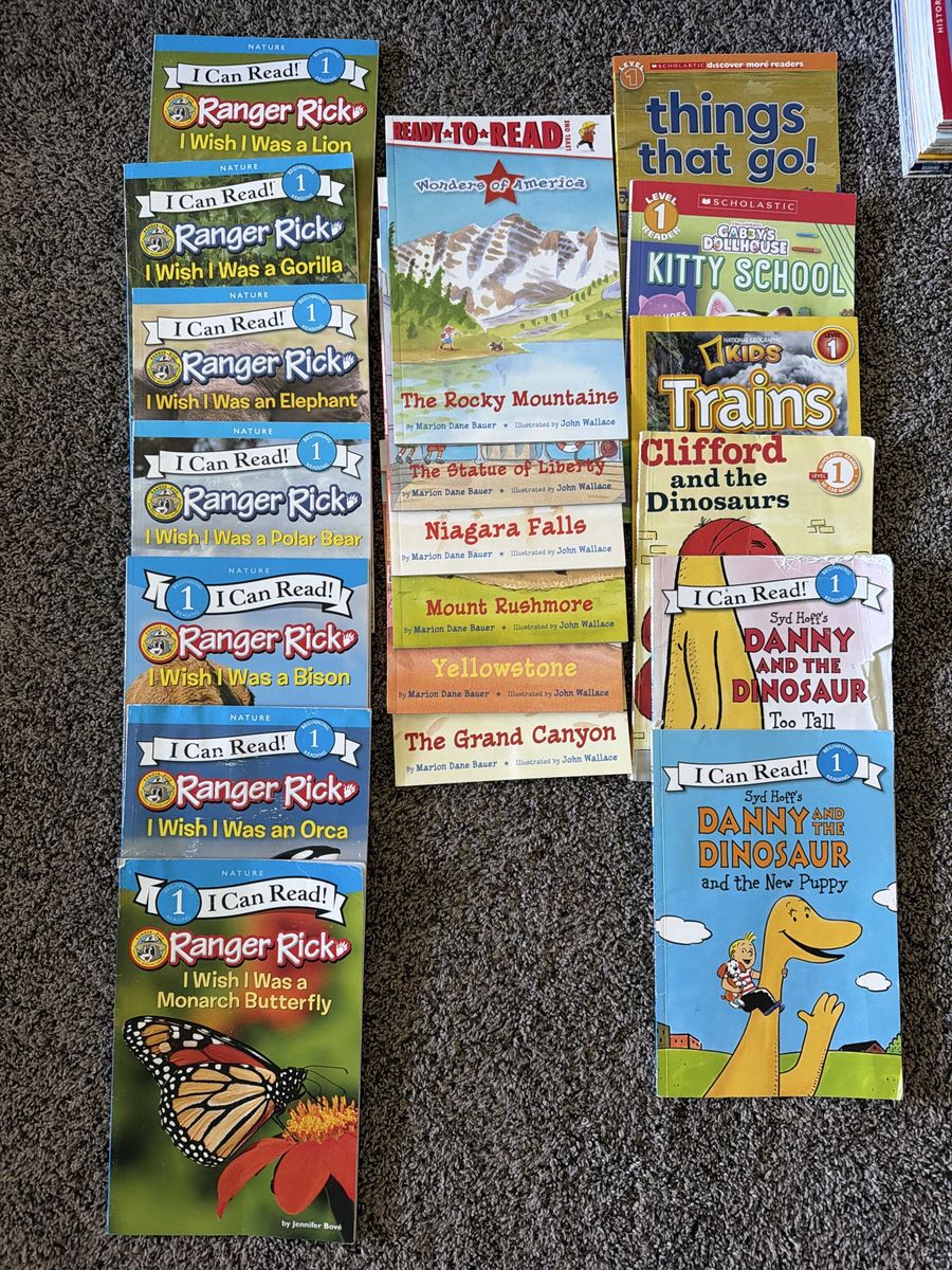Set of 19 Level 1 Early Reader Books
