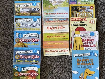 Set of 19 Level 1 Early Reader Books