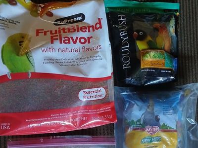 Parakeet Bird Food