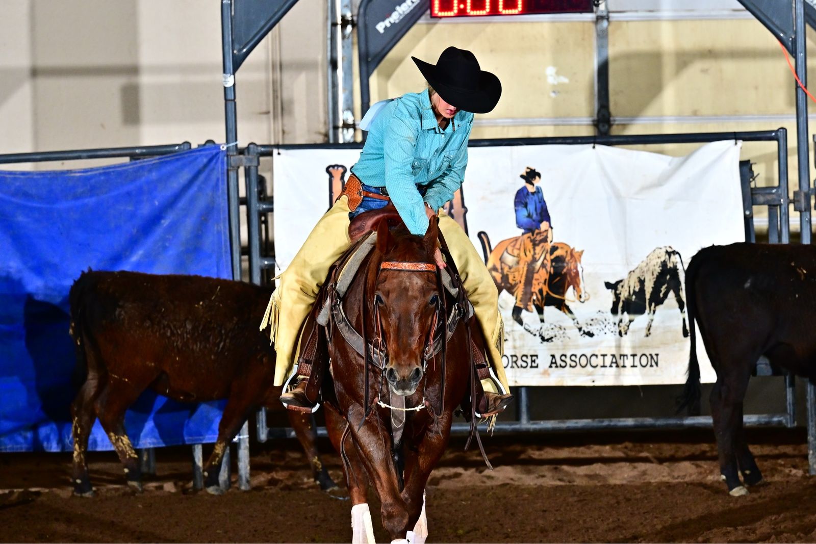Cutting horse