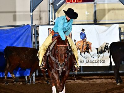 Cutting horse