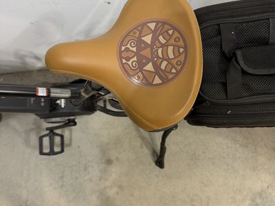 Raleigh High Country Electric Bike with Bosch Powerpack 400 and Topeak Rear Rack