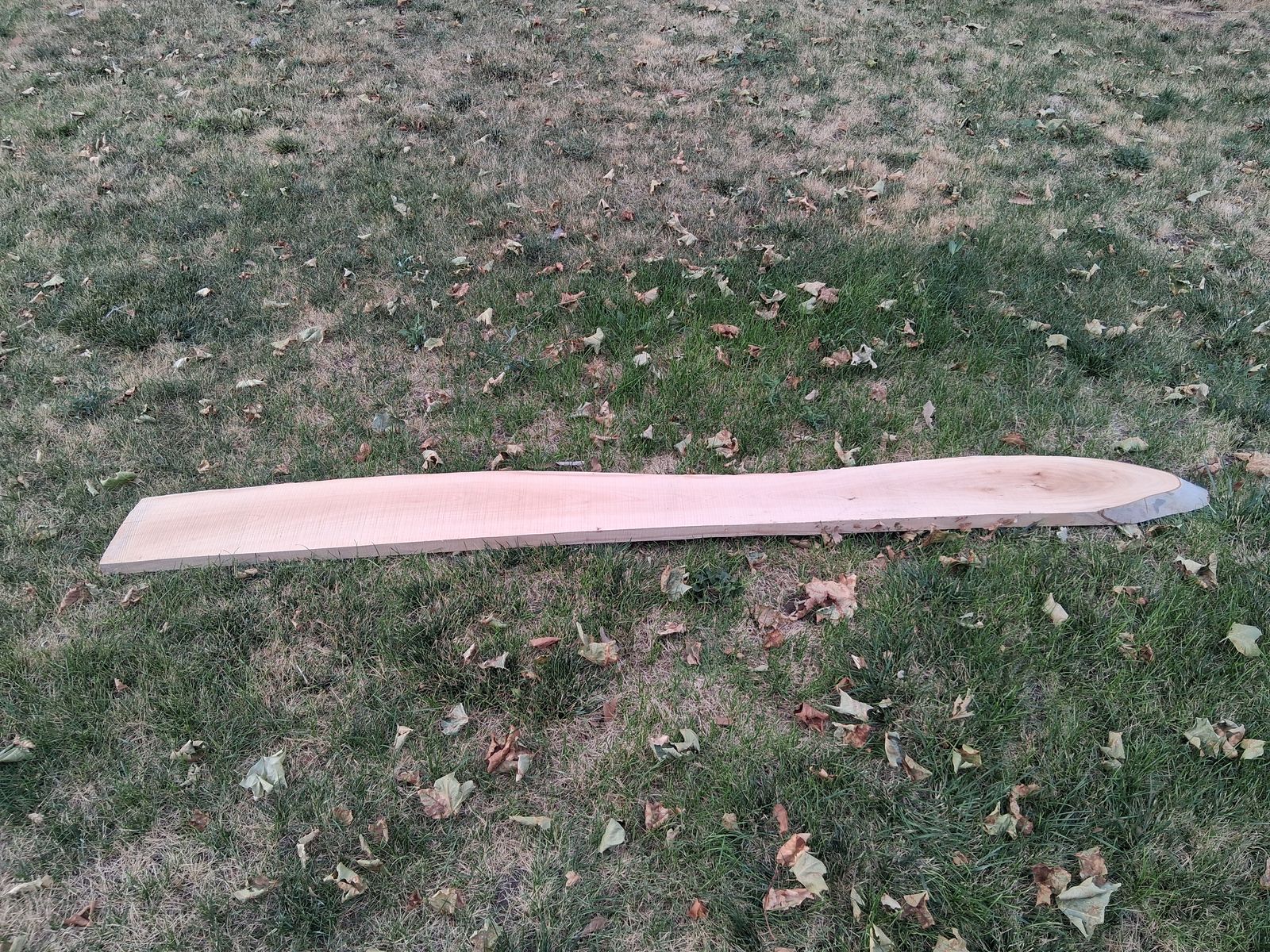 Wood board (sycamore)