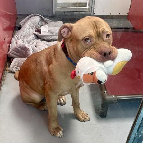 Hello my name is Heezy