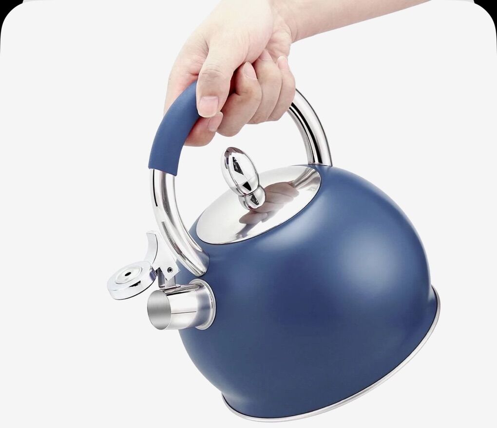 Haus Roland Stainless Steel Kettle 3L