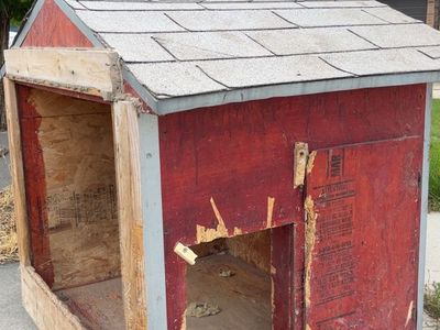 FREE DOG HOUSE