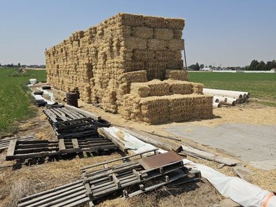 Stacked Straw Bales for Agricultural Use or Livestock Bedding