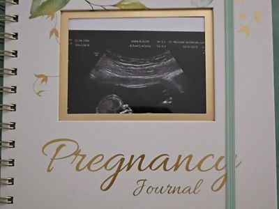 pregnancy journal