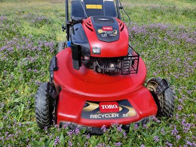 TORO 7.25HP PERSONAL PACE