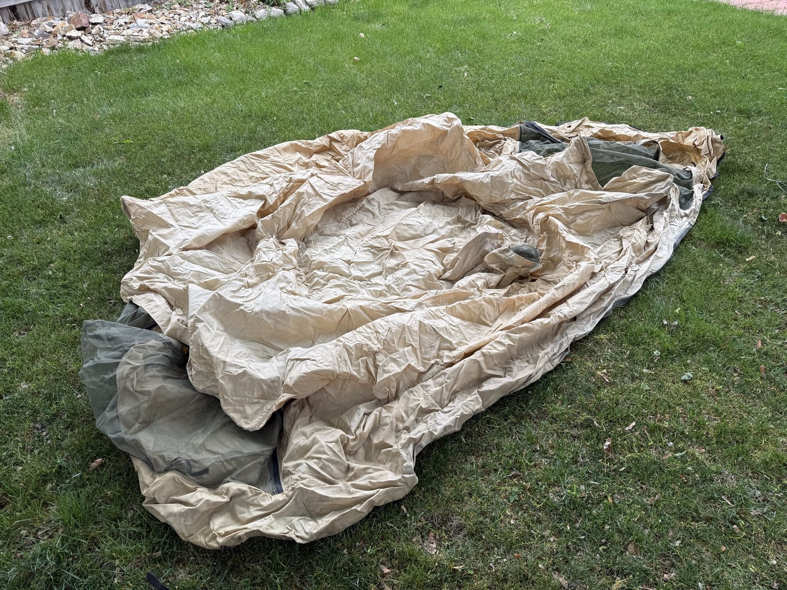 Main image 11