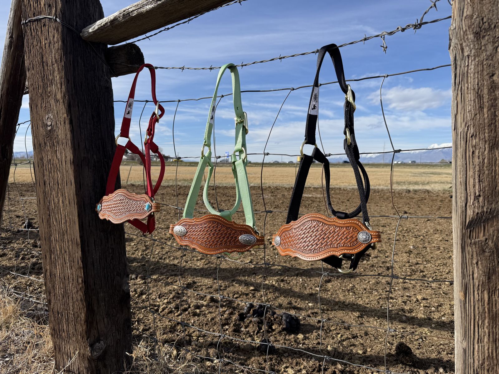 Hand-tooled Horse Halters