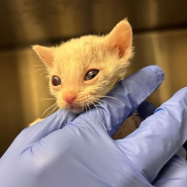 Hello my name is Shelly