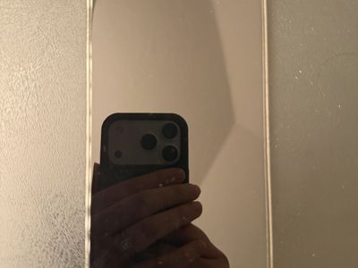 iPhone 12 Pro Max 128 GB Unlocked