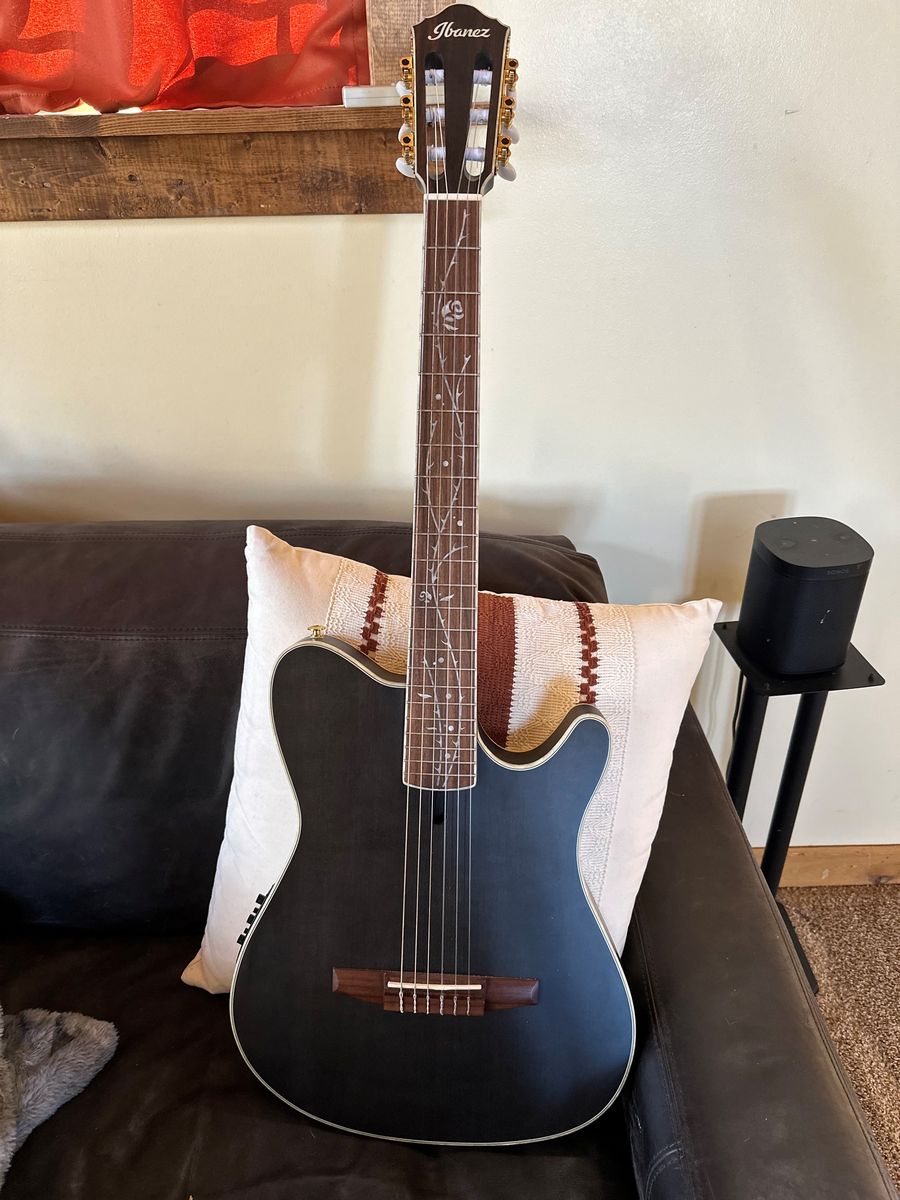Ibanez Nylon electric classical guitar TOD10N Tim Henson