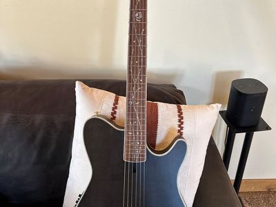 Ibanez Nylon electric classical guitar TOD10N Tim Henson