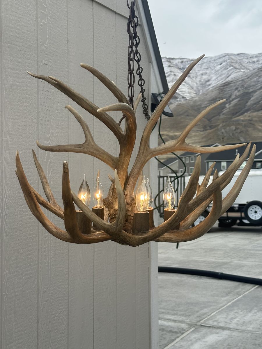 Deer Antler Chandelier
